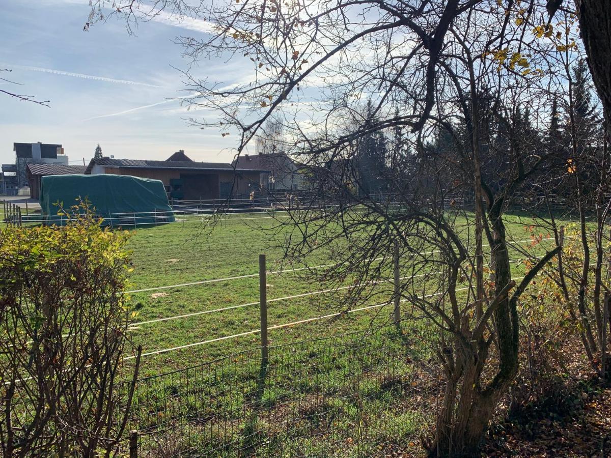 Ned Haus Villa Feldkirchen bei Graz Екстериор снимка